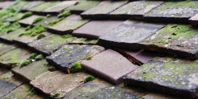 Uckfield roof repair costs